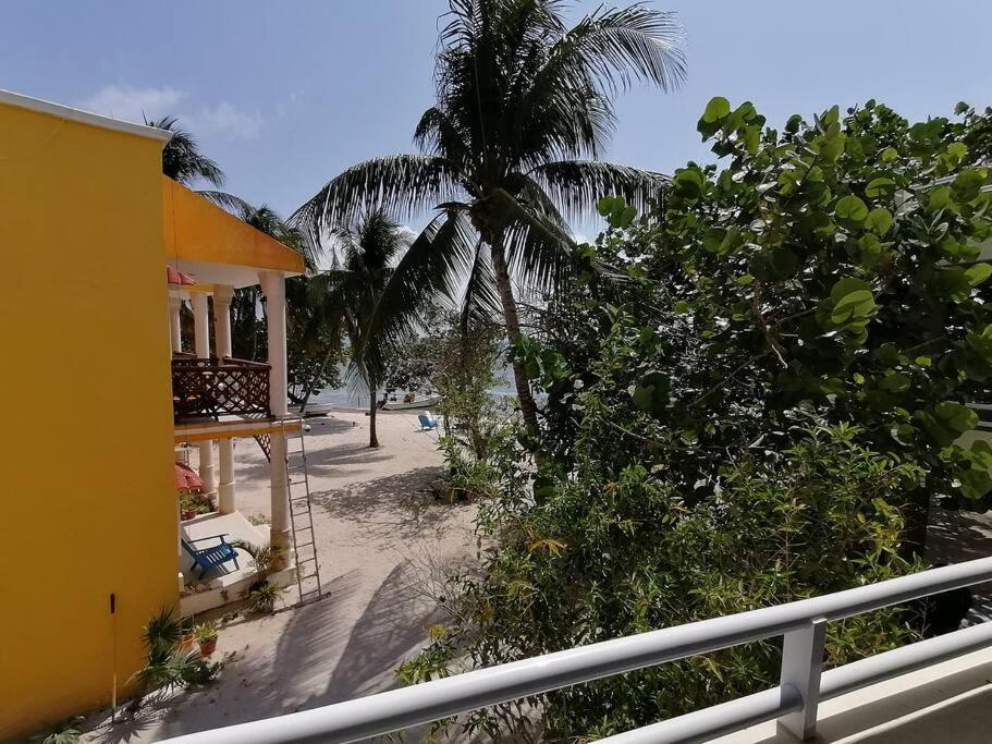 Marysol Great Views Beachfront Next To Nomads D3 Isla Mujeres Exterior foto