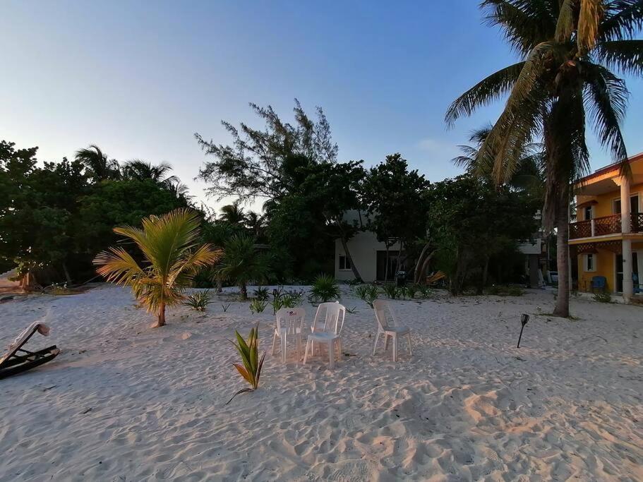 Marysol Great Views Beachfront Next To Nomads D3 Isla Mujeres Exterior foto