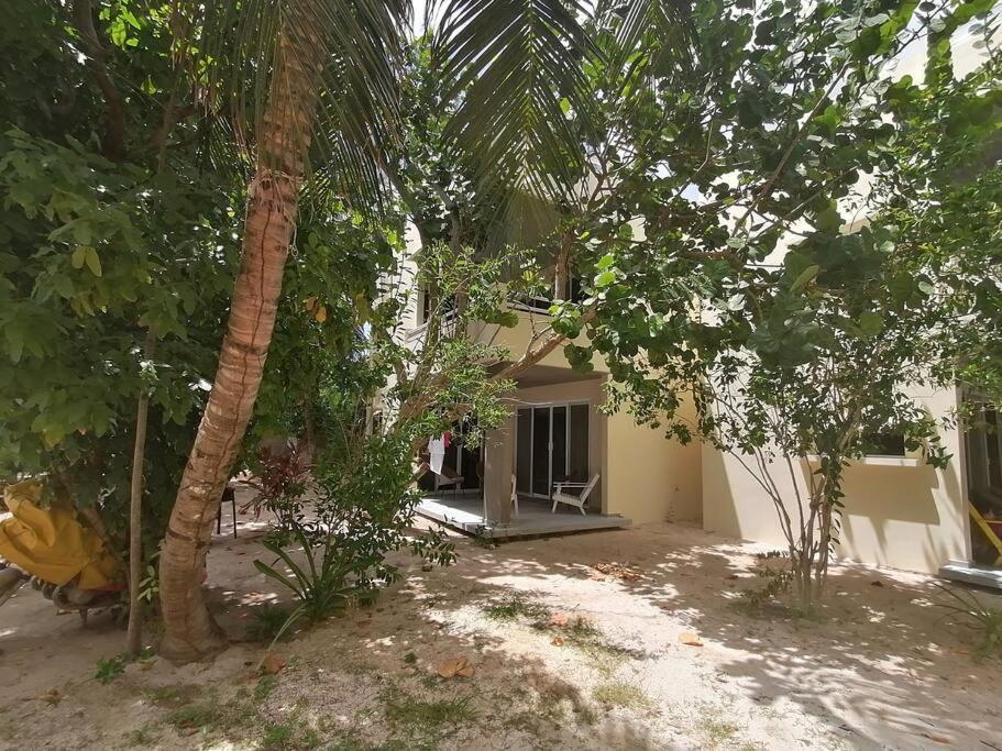 Marysol Great Views Beachfront Next To Nomads D3 Isla Mujeres Exterior foto