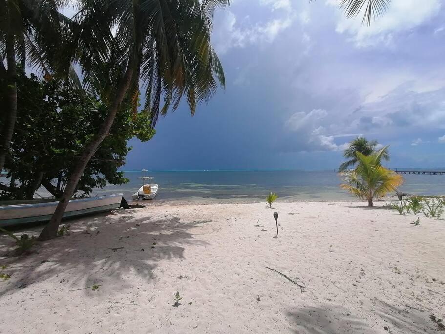 Marysol Great Views Beachfront Next To Nomads D3 Isla Mujeres Exterior foto