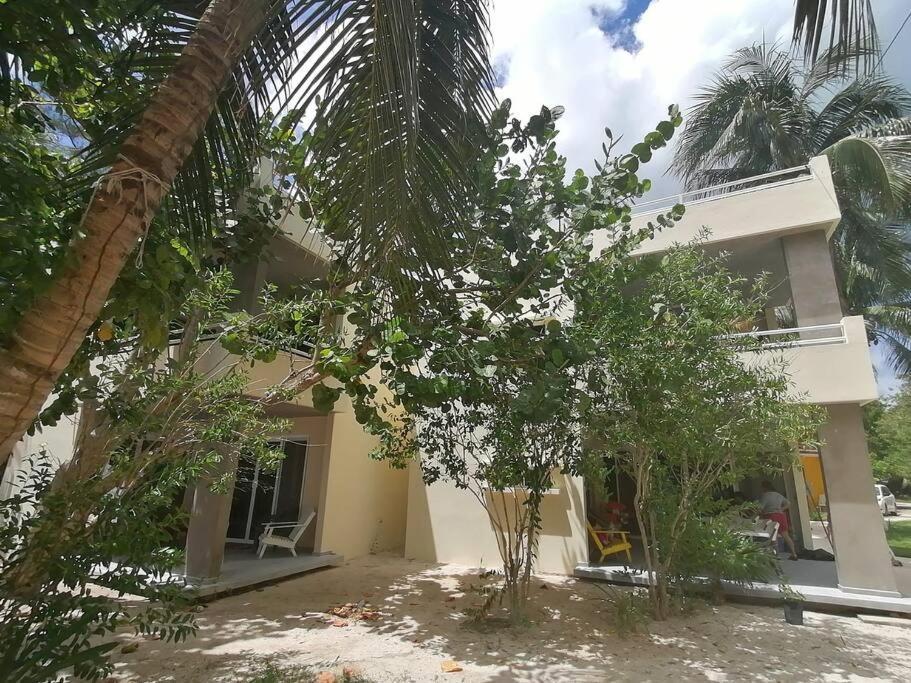 Marysol Great Views Beachfront Next To Nomads D3 Isla Mujeres Exterior foto