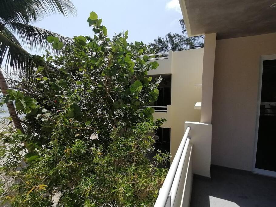 Marysol Great Views Beachfront Next To Nomads D3 Isla Mujeres Exterior foto