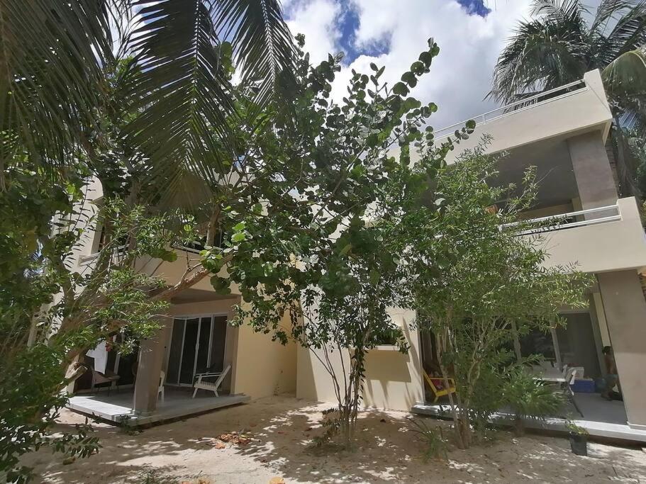 Marysol Great Views Beachfront Next To Nomads D3 Isla Mujeres Exterior foto