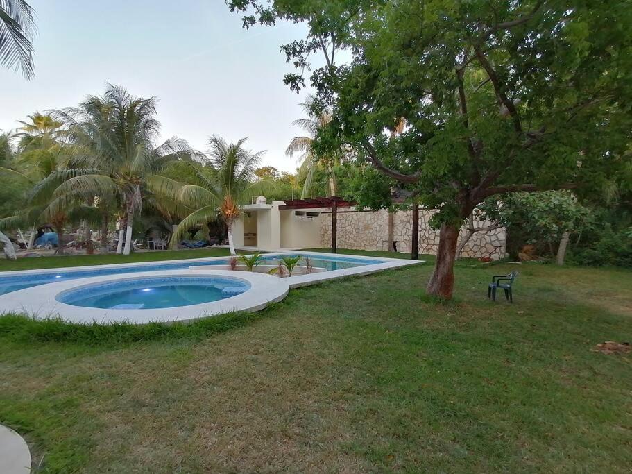 Marysol Great Views Beachfront Next To Nomads D3 Isla Mujeres Exterior foto