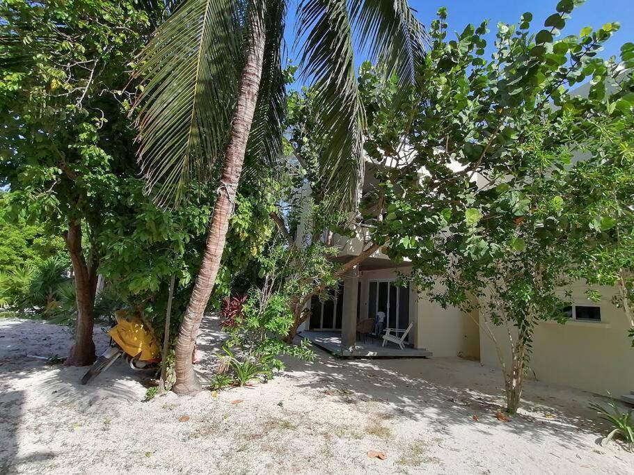 Marysol Great Views Beachfront Next To Nomads D3 Isla Mujeres Exterior foto