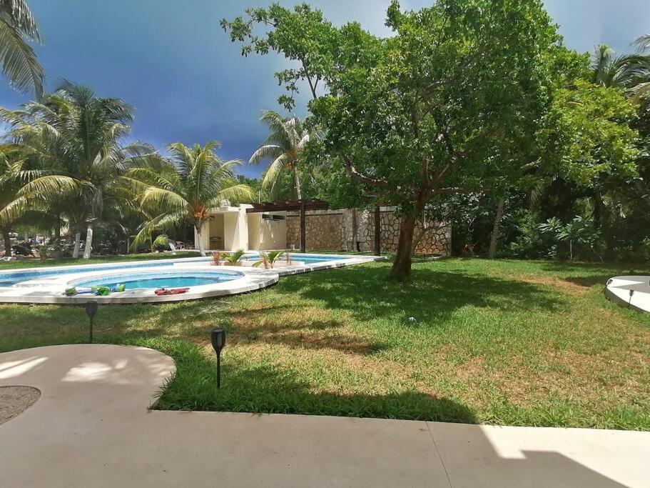 Marysol Great Views Beachfront Next To Nomads D3 Isla Mujeres Exterior foto
